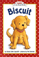 biscuit 