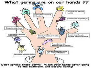 Germs Germs
