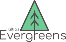 Killip's Evergreens Club Logo