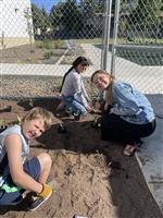 students planting pollinator plants