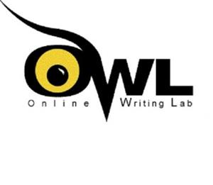 Owl Owl